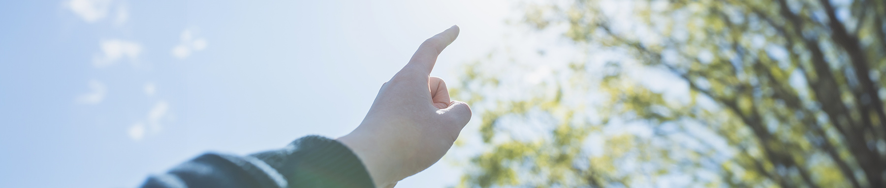 うぇるびーんについて